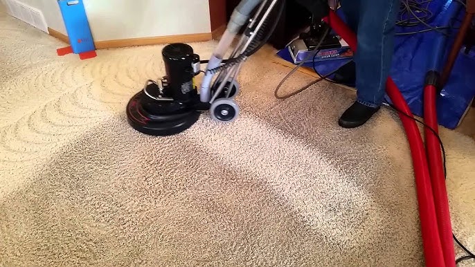 Carpet Cleaning